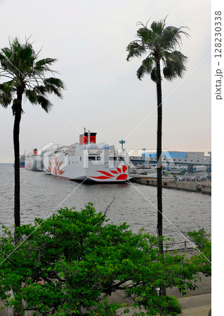 大阪南港　コスモフェリーターミナルのサンフラワア　二隻 128230338