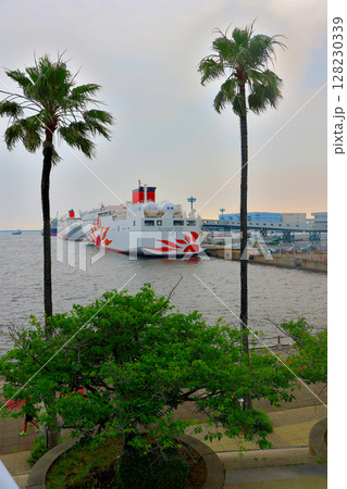 大阪南港 コスモフェリーターミナルのサンフラワア 二隻 大阪南港 コスモフェリーターミナルのサンフラワア 二隻 128230339