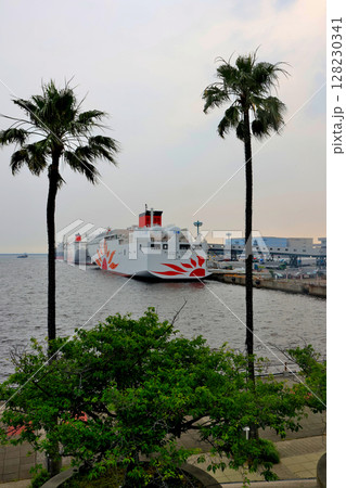 大阪南港　コスモフェリーターミナルのサンフラワア　二隻 128230341