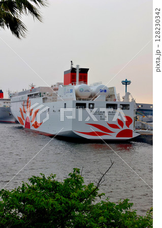大阪南港 コスモフェリーターミナルのサンフラワア 二隻 大阪南港 コスモフェリーターミナルのサンフラワア 二隻 128230342