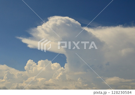 発達して大きくなる積乱雲　夏の空 128230584