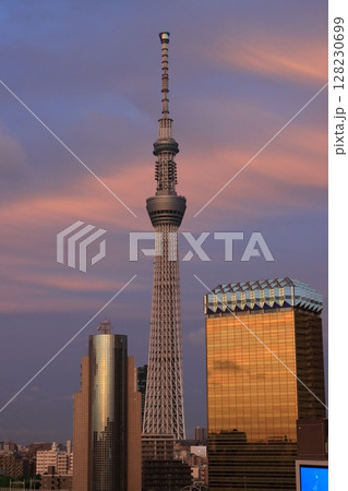 夕日に赤く染まる東京スカイツリー 夕日に赤く染まる東京スカイツリー 128230699