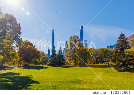 Central Park in New York City on a sunny autumn 128232661