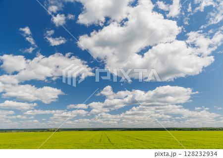 Wide green field under a sunny sky with scattered white clouds 128232934