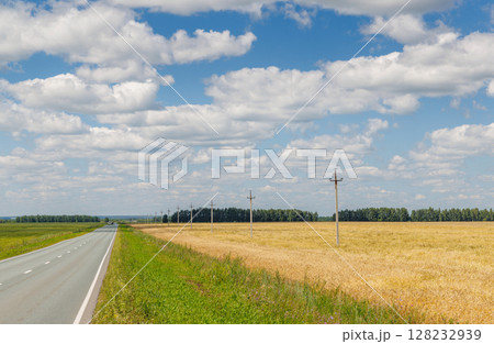 Endless asphalt road stretching through a summer landscape of green fields under a sunny sky 128232939