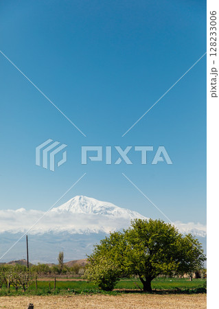 Beautiful landscape on Mount Ararat spring 128233006