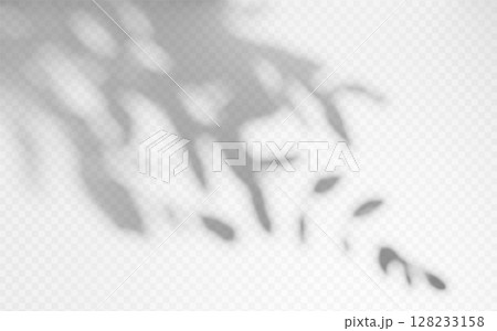 Shadow overlay from a tree branch isolated on a transparent background. 128233158