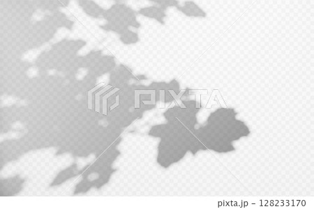 Abstract shadow overlay from tree branch on a transparent background. Abstract shadow overlay from tree branch on a transparent background. 128233170