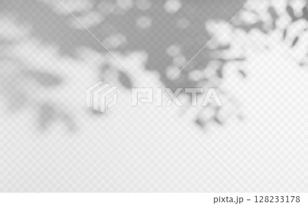 Abstract shadow overlay from tree branch on a transparent background. 128233178