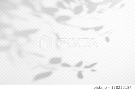 Abstract shadow overlay from tree branch on a transparent background. 128233184