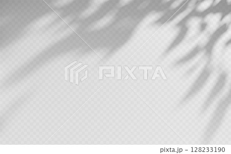 Shadow overlay from a tree branch isolated on a transparent background. 128233190
