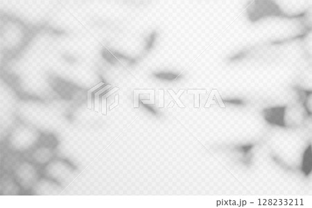 Abstract shadow overlay from tree branch on a transparent background. 128233211