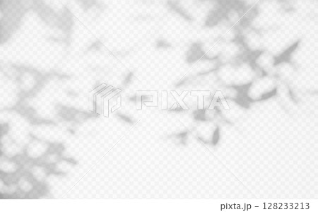 Shadow overlay from a tree branch isolated on a transparent background. 128233213
