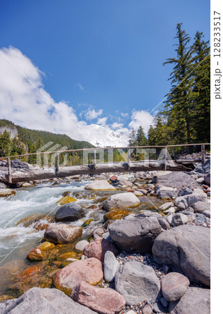Majestic Mount Rainier rising above forests and river in the national park 128233517
