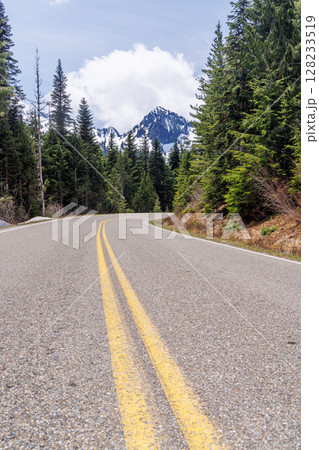 Scenic road in Mount Rainier National Park with fir trees on both sides and a snowy mountain 128233519