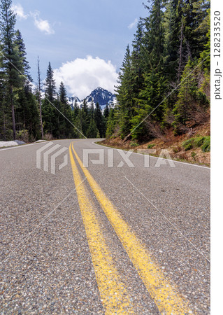 Scenic road in Mount Rainier National Park with fir trees on both sides and a snowy mountain 128233520