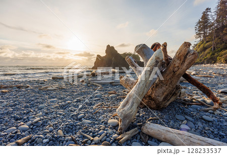 Pacific Ocean coast near Olympic National Park 128233537
