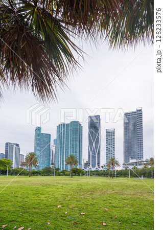 Modern skyline of Miami with towering skyscrapers Modern skyline of Miami with towering skyscrapers 128233576