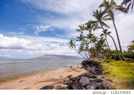 Beautiful Maui landscape in Hawaii Beautiful Maui landscape in Hawaii 128233693
