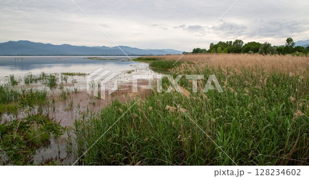 Landscape, at Kerkini Lake in Northern Greece. 128234602