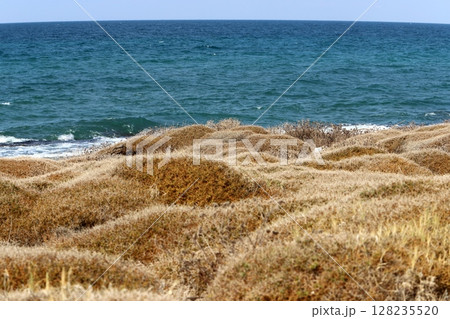 The Mediterranean coast in northern Israel 128235520