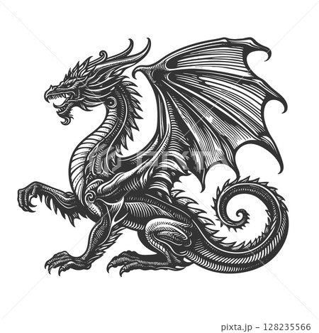Dragon engraving sketch raster illustration 128235566