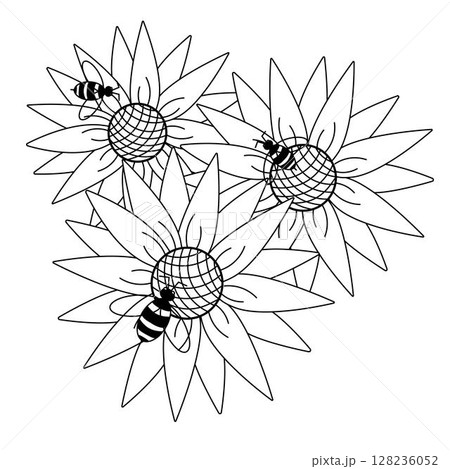 Sunflowers and flying bee composition. Vector graphic line illustration. background for banners, print for fabric, labels, t-shirt printing. Coloring Sheet for Stress Relief and Relaxation 128236052