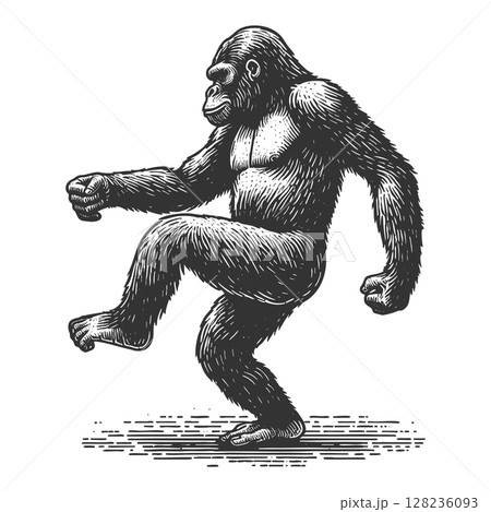 Dancing Gorilla engraving raster illustration 128236093