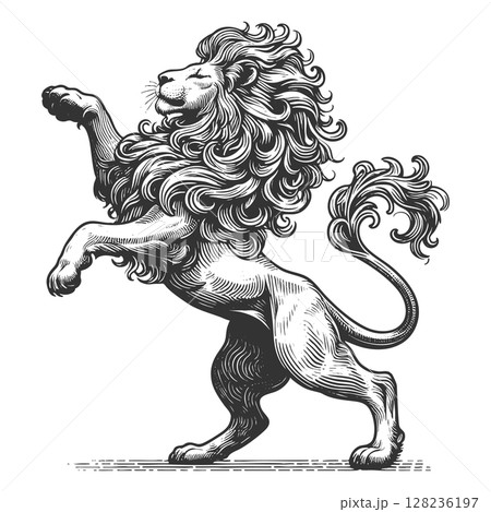 Heraldic Lion engraving sketch vector illustration Heraldic Lion engraving sketch vector illustration 128236197