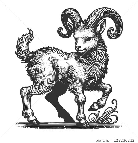 Majestic Ram engraving sketch vector illustration Majestic Ram engraving sketch vector illustration 128236212