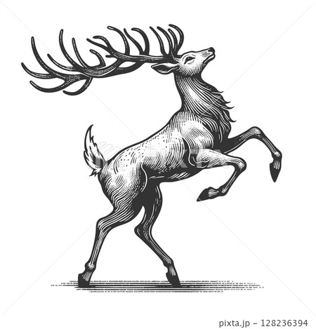Rearing Stag engraving sketch vector illustration 128236394