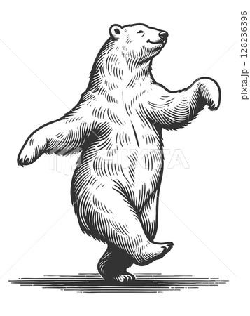 Dancing Polar Bear engraving vector illustration 128236396