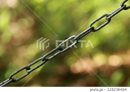 Chain link fence with a bug on it 128236484