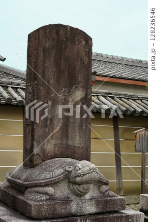 東寺の贔屓（かめ） 128236546