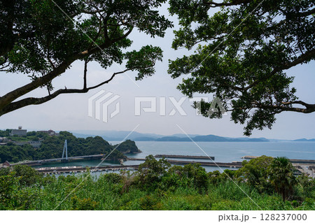 木陰から見た和歌山湾 木陰から見た和歌山湾 128237000