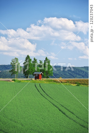 夏の北海道 剣淵町にある眺望の丘バス停 夏の北海道 剣淵町にある眺望の丘バス停 128237043