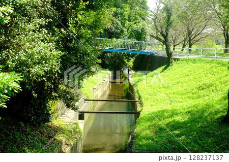 とある田舎の用水路 とある田舎の用水路 128237137