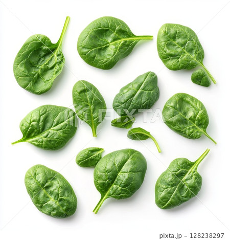Fresh green spinach leaves isolated on transparent or white background 128238297