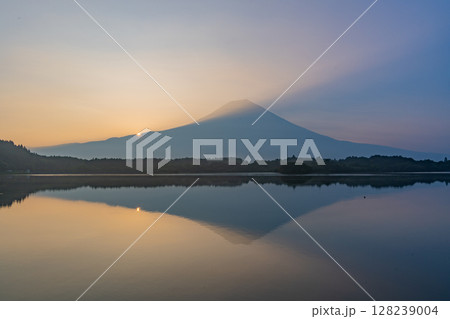 (静岡県)夏の田貫湖 富士山 日の出 (静岡県)夏の田貫湖 富士山 日の出 128239004