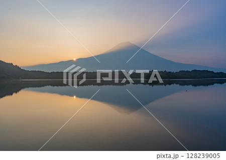 (静岡県)夏の田貫湖 富士山 日の出 (静岡県)夏の田貫湖 富士山 日の出 128239005