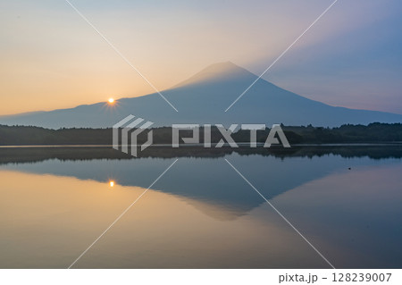 (静岡県)夏の田貫湖 富士山 日の出 (静岡県)夏の田貫湖 富士山 日の出 128239007