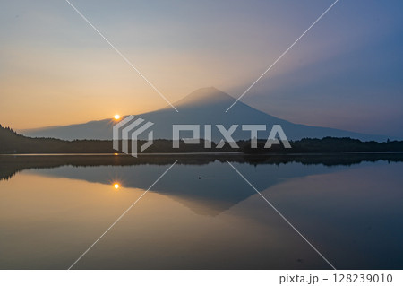 （静岡県）夏の田貫湖　富士山　日の出 128239010