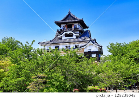 【愛知県】新緑の犬山城天守閣 【愛知県】新緑の犬山城天守閣 128239048
