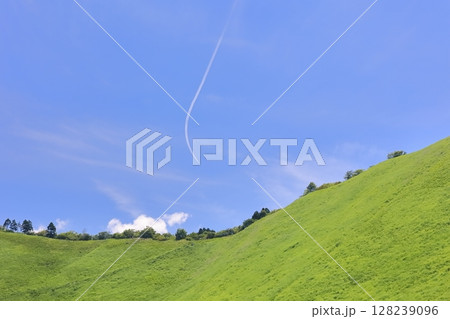 新緑の曽爾高原 128239096