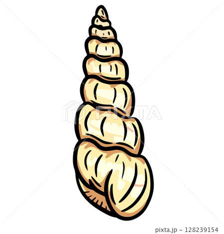 Hand drawn clipart illustration of seashell shell mollusc seaside shellfish  128239154