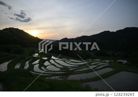 棚田の映す朝日 128239265