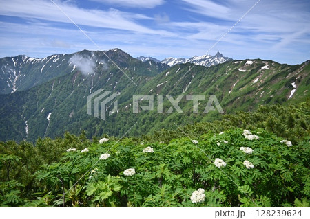 北アルプスの景色 128239624