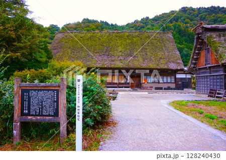 和田家住宅　国指定重要文化財　荻町合掌造り集落　世界文化遺産　白川郷　茅葺 128240430