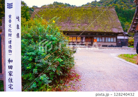 和田家住宅　国指定重要文化財　荻町合掌造り集落　世界文化遺産　白川郷　茅葺 128240432