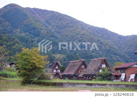 荻町合掌造り集落　世界文化遺産　白川郷　茅葺 128240818